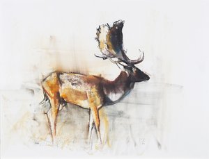 Magnifique daim, 2006 - Mark Adlington