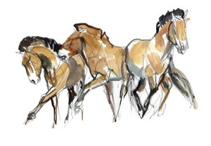 Mistral Trois (Przewalski)