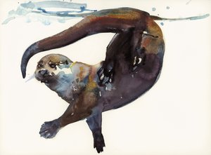 Étude de loutre II - 