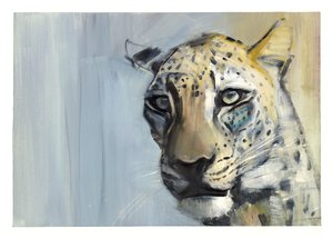 Prédateur (Léopard arabe), 2009