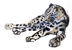 Recliné (léopard arabe), 2008 - Mark Adlington