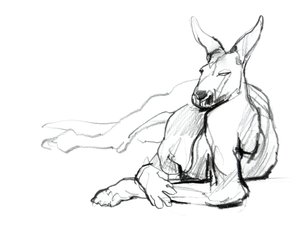 Athlète au repos (Kangourou rouge), 2012 - Mark Adlington