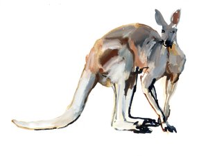 Roo (Kangourou rouge), 2012