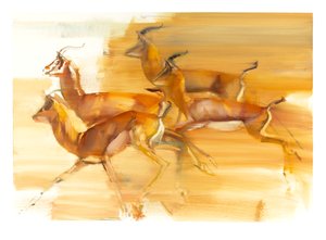 Gazelles en course, 2010