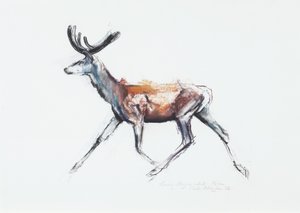 Cerf courant en velours, Polsen, 2006 - Mark Adlington