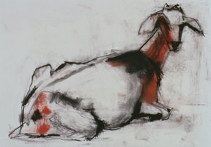 Chèvre Assise, 1998 - Mark Adlington