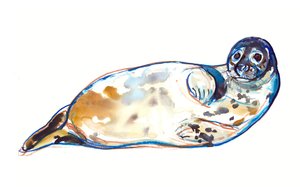 Senseal, 2022