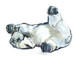 Frottement de neige (Ours polaire), 2013 - Mark Adlington
