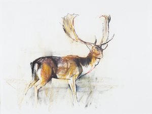 Étude d