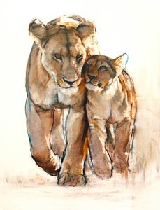 Tendre