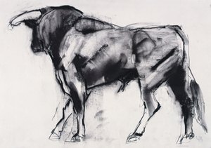 Toro Azul, étude