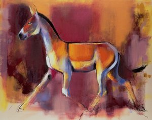 Âne sauvage, Rann de Kutch, 1996