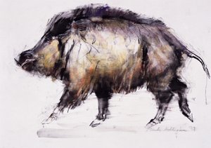 Sanglier, 1999 - Mark Adlington