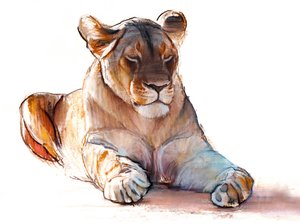 Lionne yogi, 2019