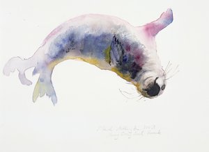 Jeune phoque gris, Gweek, 2003