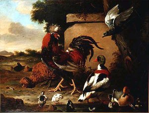 Coq avec canards, canetons et pigeon