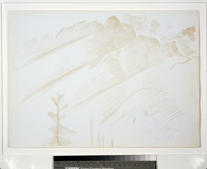 Paysage de montagne avec nuages et arbres