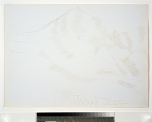 Paysage de montagne avec maison et pins