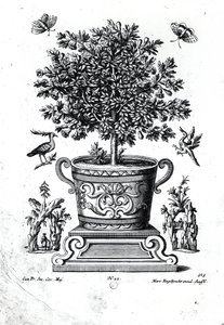 Arbre ornemental dans une urne sur une petite scène