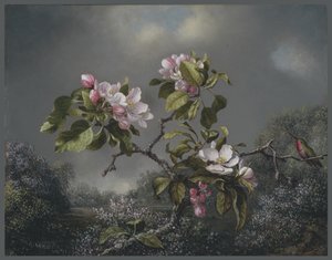 Fleurs de pommier et colibri, 1871 - Martin Johnson Heade