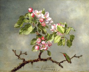 Fleurs de pommier et un colibri, 1875