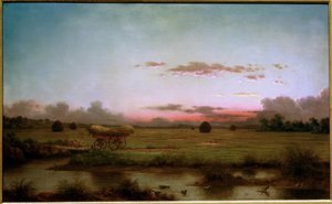 Les marais de Rhode Island - Martin Johnson Heade