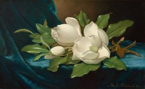  - Martin Johnson Heade