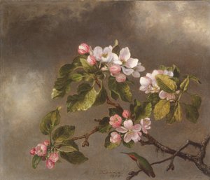 Colibri et fleurs de pommier, 1875