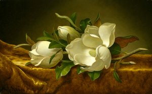 Magnolias sur tissu de velours doré, vers 1888-90