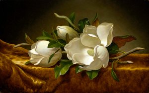 Magnolias sur toile de velours doré