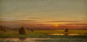  - Martin Johnson Heade