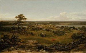 Roches en Nouvelle-Angleterre - Martin Johnson Heade