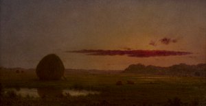 - Martin Johnson Heade