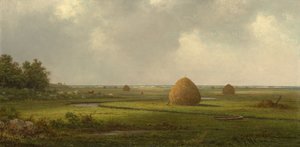 Vue de Marshfield - Martin Johnson Heade