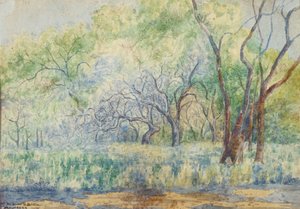 Paysage