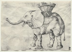 Un éléphant avec howdah, vers 1485 - Martin Schongauer