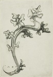Ornement en forme de feuille - Martin Schongauer