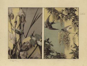 Un des Festons und Decorative Gruppen de Martin Gerlach