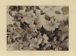 Un des Festons und Decorative Gruppen de Martin Gerlach - Martin senior Gerlach