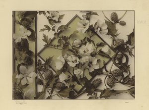 Une des Festons und Decorative Gruppen de Martin Gerlach (photo n/b) - Martin senior Gerlach