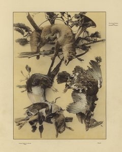 Un des Festons und Decorative Gruppen de Martin Gerlach (photo n/b)