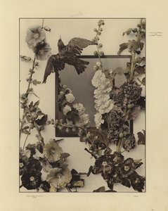 Un des Festons und Decorative Gruppen de Martin Gerlach - Martin senior Gerlach