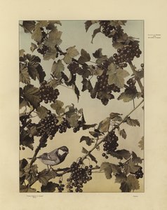Un des Festons und Decorative Gruppen de Martin Gerlach