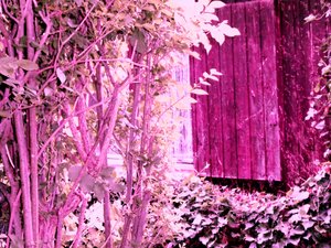 Près de la maison de jardin - Martina Konitzky