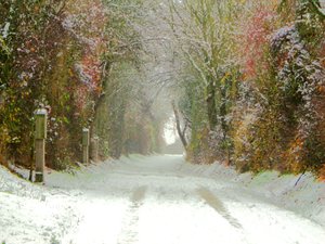 Chemin de campagne - Martina Konitzky