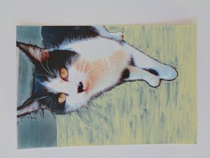 Chat