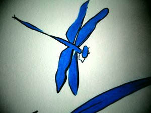 Libellule (détail)