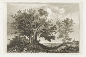 Chemin entre deux rangées d