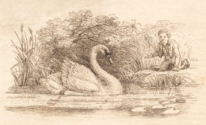 Illustration pour "Halvhundrede Fabler for Børn" de Hey - Martinus Rørbye
