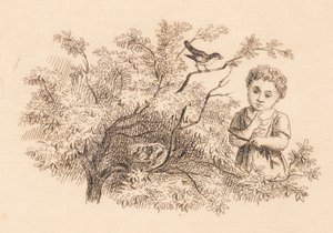 Illustration pour "Cinquante Fables pour Enfants" de Hey